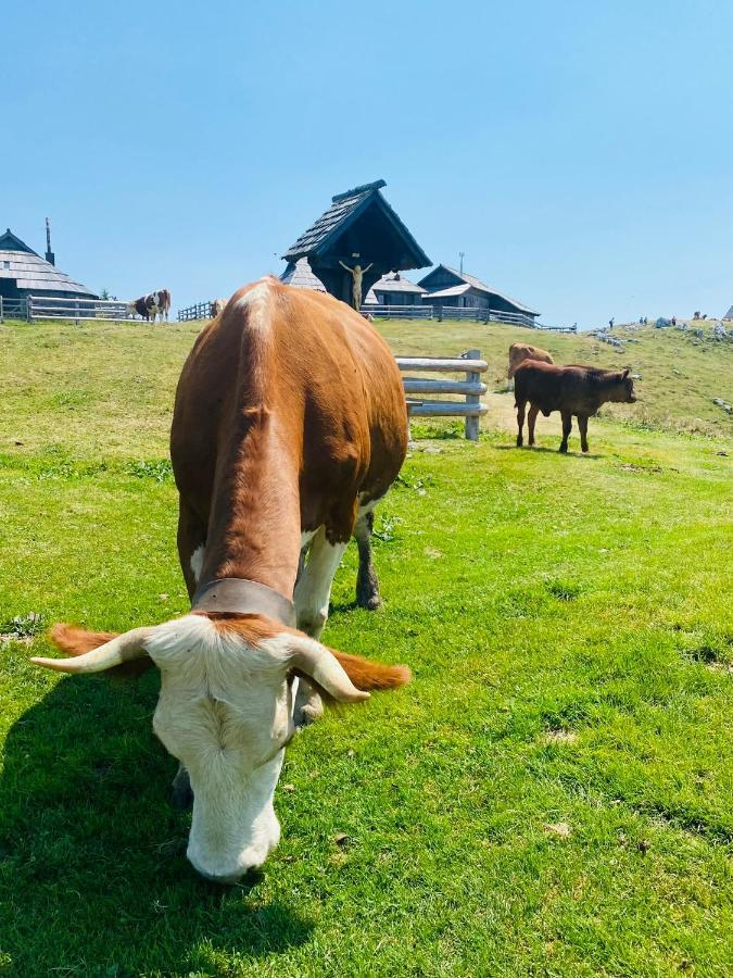 Velika Planina Koca Kekec Villa Stahovica Eksteriør bilde