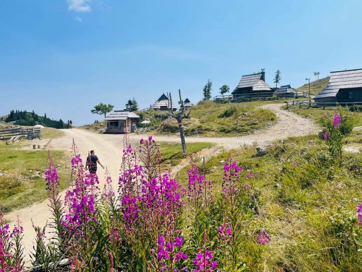 Velika Planina Koca Kekec Villa Stahovica Eksteriør bilde