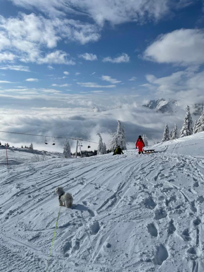 Velika Planina Koca Kekec Villa Stahovica Eksteriør bilde